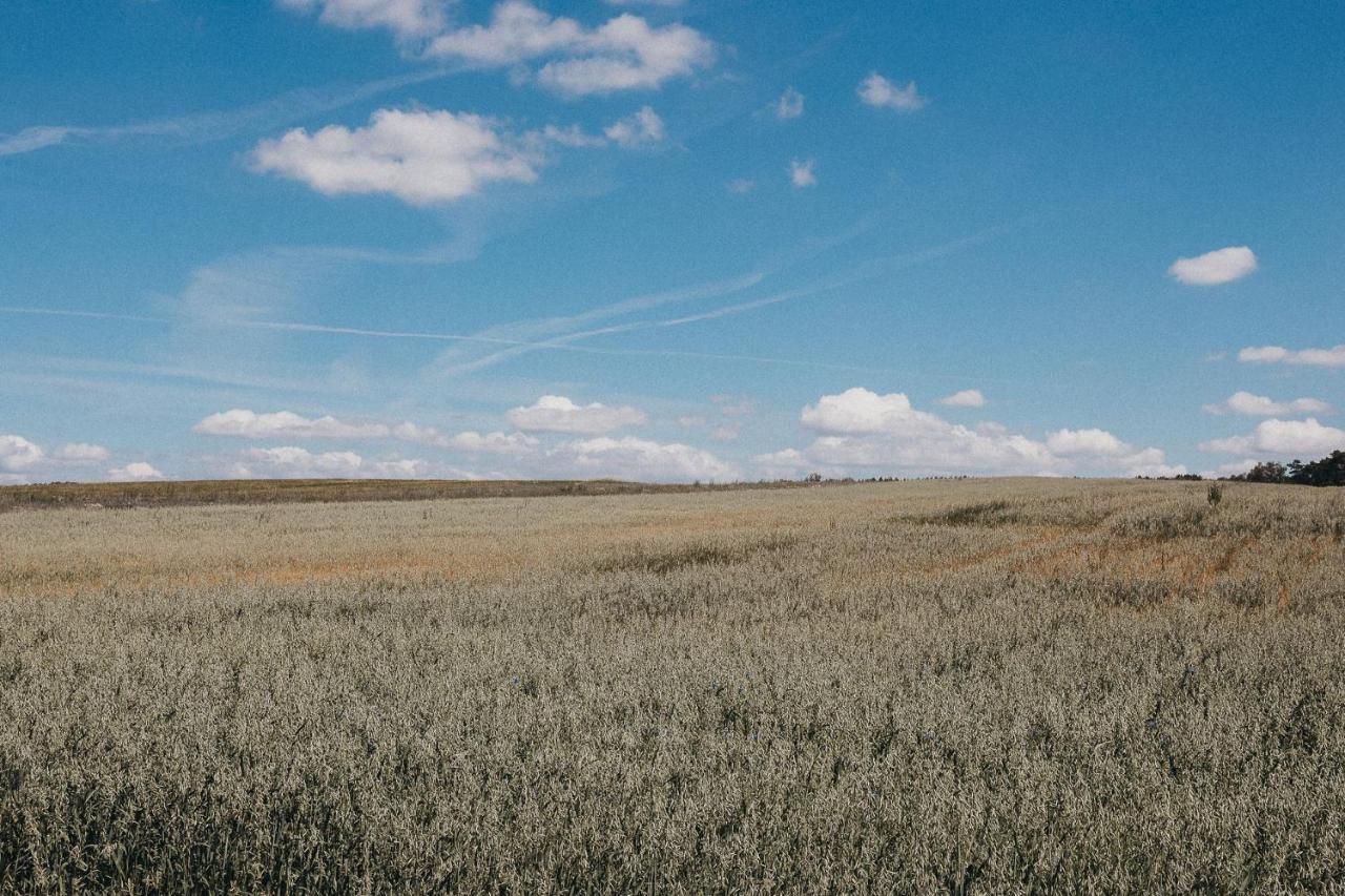 Agroturystyka Pod Debem Łagów Exterior foto